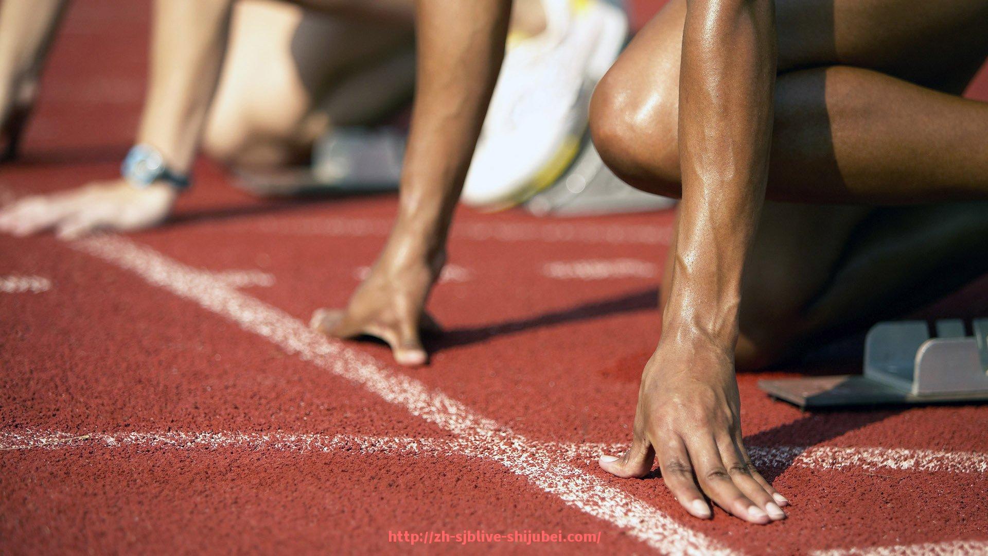 世俱杯直播-德国进口健身器材品牌与产品解析:德国进口品牌健身器材的市场定位与功能