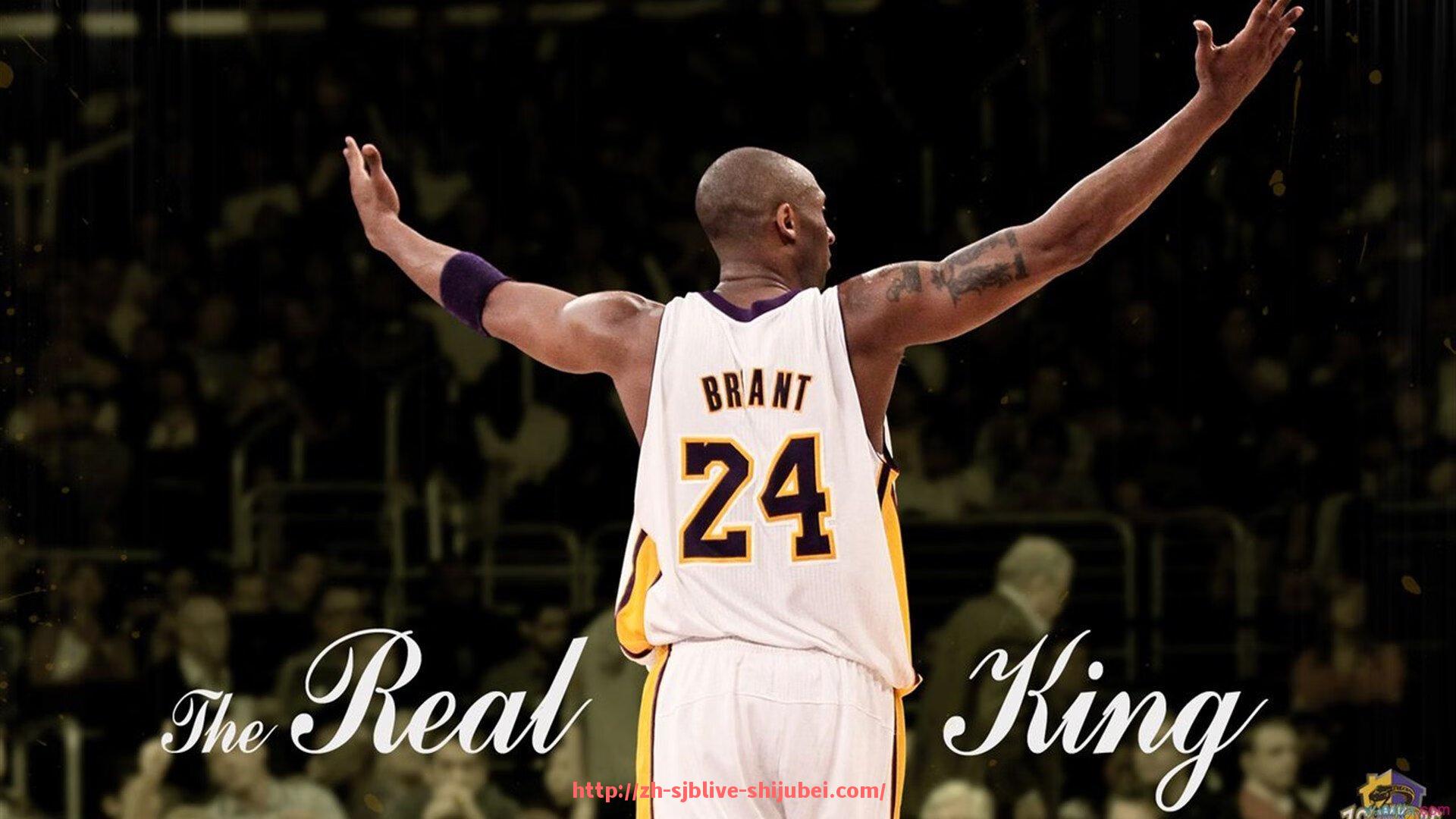 世俱杯直播-德甲球队门票价格全览,赛季票及单场票价详细统计